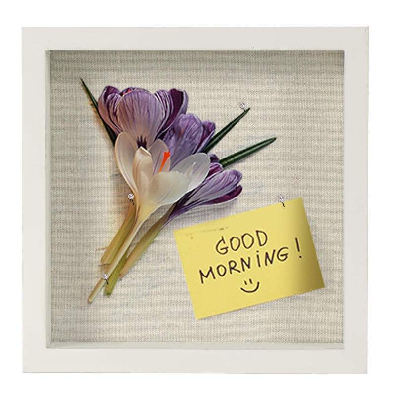 TJMOREE TJ.MOREE إطار صندوق ظلال صغير أبيض 5 × 5 صندوق عرض ظل إطار صورة خشبي مع ميداليات تذكارات زجاجية للحيوانات الأليفة صور للجدار والطاولة - Image 3